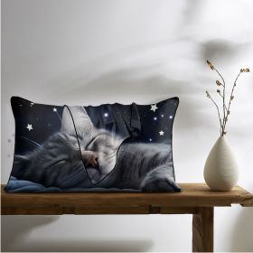 2 Pcs Cats And Starry Sky Art Bedroom Satin Print Soft Skin Friendly Pillowcases Suitable For All Seasons (Option: 51x66cm-Black)