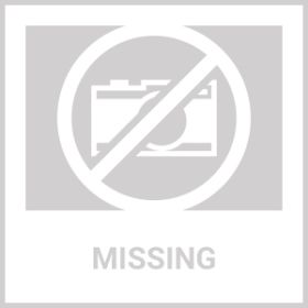 Foldable Portable BBQ Charcoal Grill Grill Lightweight Smoker Grill For Camping Picnics Garden Grilling (Color: Black)