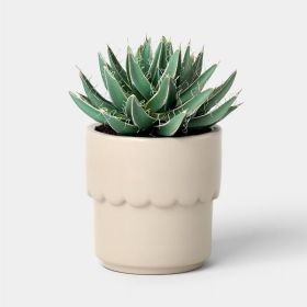 Ceramic Modern Outdoor Planter – Cream, 4"x3.875" For Plants & Succulents