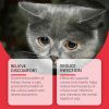 Yegbong Pet Dietary Supplement, Take Care Of The Pet Discomfort Cat To Absorb Nutritional Supplements