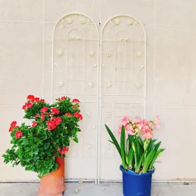 4 Pack Metal Garden Trellis 71" X 19.7" Rustproof Trellis For Climbing Plants Outdoor Flower Support (Option: GREEN)